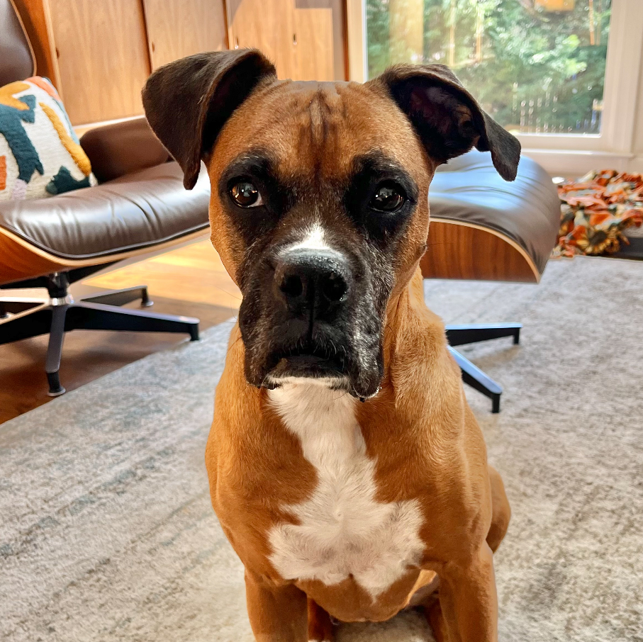 Fiona